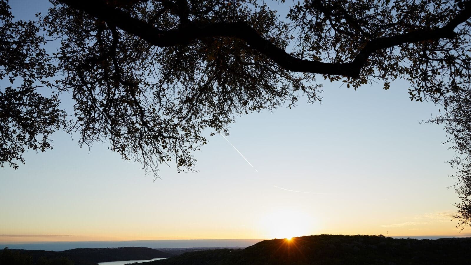 blue skies as sun rises under tree