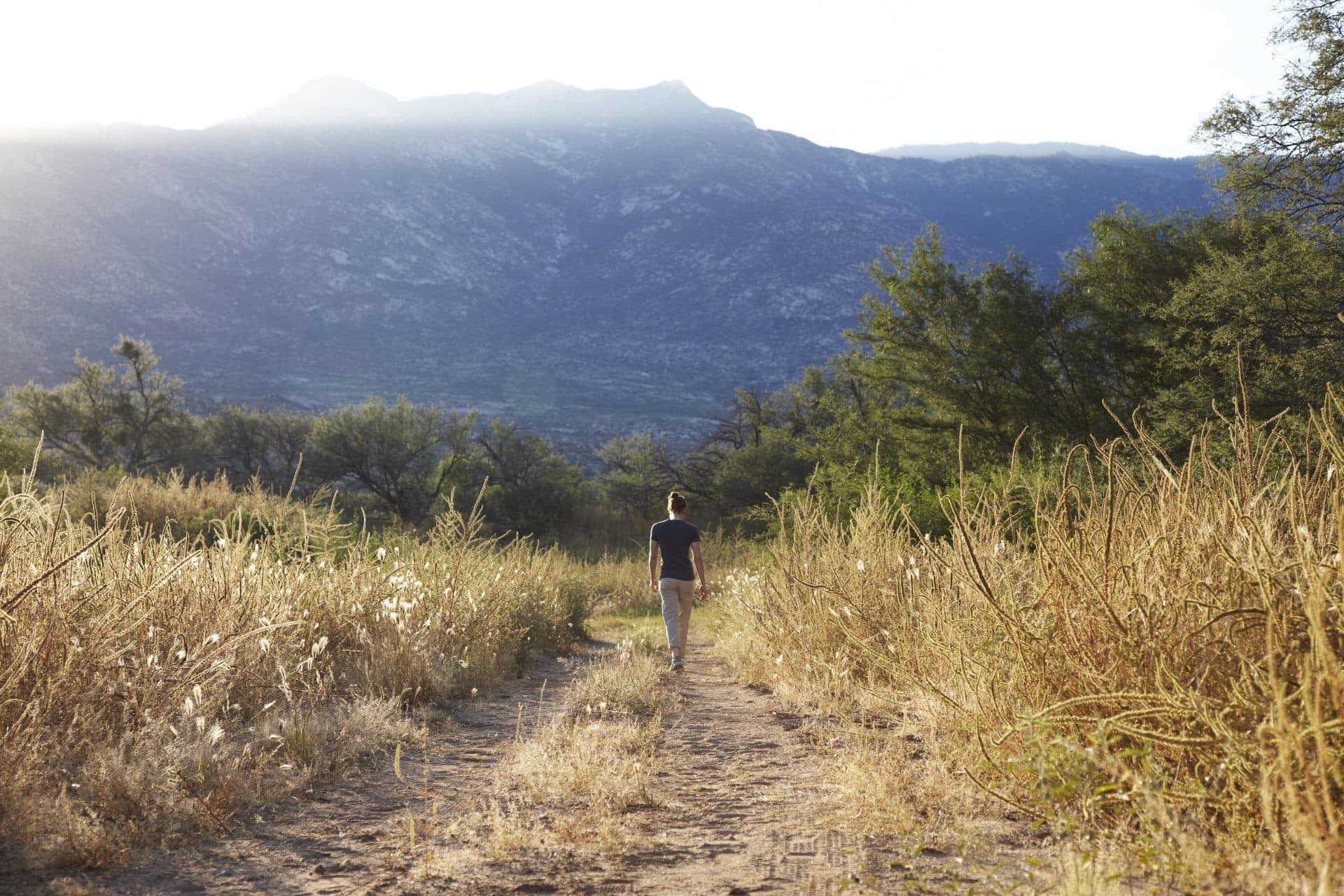 person walking in nature towards mountains